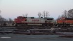 WARBONNET!